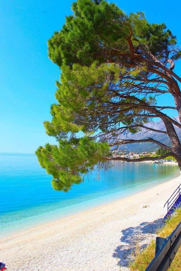 Nina Gradac (Split-Dalmatia)